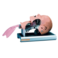 Maniqu&iacute; de entrenamiento